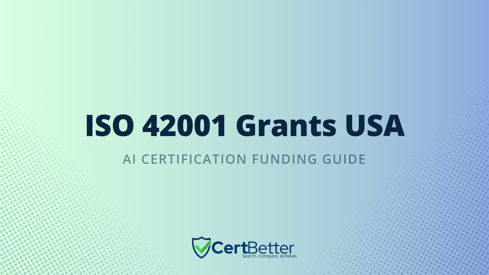Government Grants and Subsidies for ISO 42001 Certification in United States